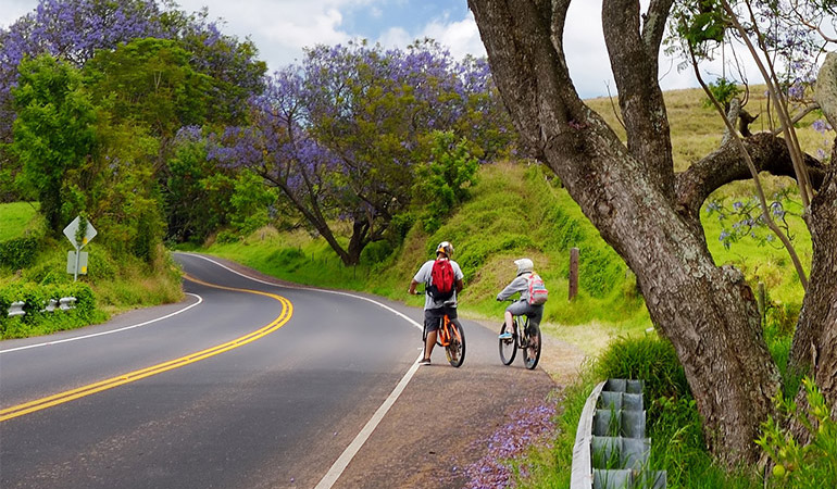 Two bicyclists ride on the shoulder of a road.